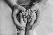 Children's Foot In The Hands Of Parents.Mom And Dad Are Holding The Baby's Legs. Feet Of A Small Newborn Baby With His Parents' Wedding Rings. Happy Family Concept. Black And White Photo.