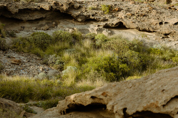 Sticker - stone wall with moss and rocks