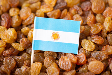 Canvas Print - Flag of Argentina on raisins. Growing raisins in Argentina concept