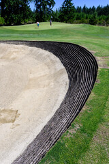 Wall Mural - Classic sand trap protecting a golf green, evergreen forest in background, recreation and challenge on a sunny summer day
