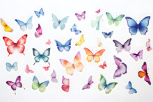 Assorted Butterflies In Various Colors Flutter Across A White Backdrop