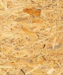 Wall Mural - From Nature to Construction: Admiring OSB Texture Variations