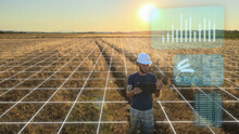 Agritech Food Production Engineer Analyzing Wheat At A Farmland Field - 3D Render