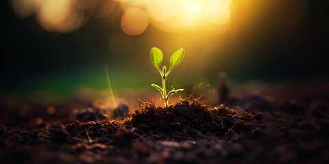 the tree of life, earth day concept, plant in the ground, small tree growing with sunrise, green world, generative ai