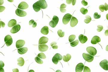 Wall Mural - green leaves on white background