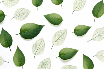 Wall Mural - green leaves on white background