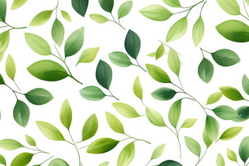 Wall Mural - green leaves on white background