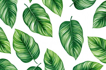Wall Mural - green leaves on white background