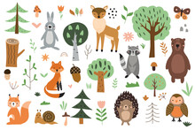 Set Of Cute Forest Animals With Elements Of Nature On A White Background. Vector Illustration For Your Design, Textiles, Posters, Postcards