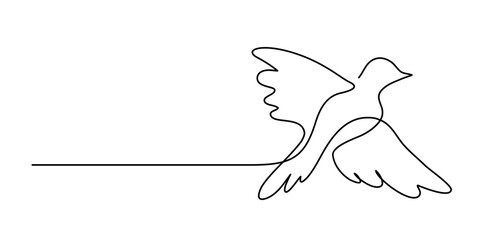 Continuous line art of a bird. Lineart vector illustration.