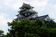 岡山城、鴉城、日本の城