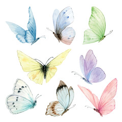 watercolor set of bright hand painted butterflies.