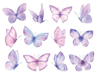 Watercolor set of bright purple vector hand painted butterflies.