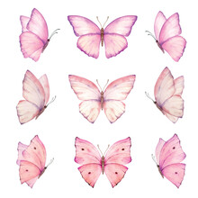 Watercolor Set Of Bright Pink Hand Painted Butterflies.