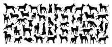 Set Of Dog Silhouette Vector. Dogs And Puppies In Different Breed, Corgi, Golden Retriever, Poses, Sitting, Standing, Jump. Hand Drawn Pet Animals For Pet Shop, Logo Design, Decorative, Sticker