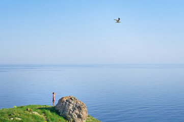 Wall Mural - Young woman looking at the sea with a gull in the sky.