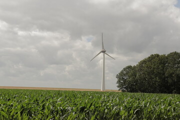 Wind turbine in field (farm land) on sunny overcast cloudy day producing green energy-electricity. Located in Flevoland, The Netherlands.