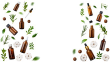 Dropper And Spray Bottles Macadamia Nuts Cotton Flowers And Herbs Isolated On Transparent Background Flat Lay View With Copy Space
