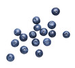 Leinwandbild Motiv Group of fresh blueberries isolated