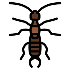 Wall Mural - earwig bug insect animal