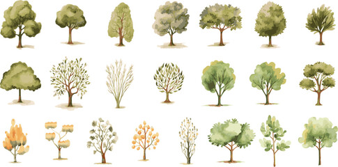 tree nature watercolor