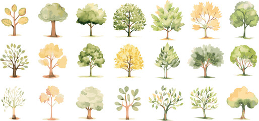 tree nature watercolor