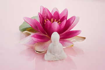 Wall Mural - A beautiful pink waterlily or lotus flower wth buddha statue in pink water.