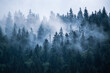 canvas print picture - Misty mountain landscape