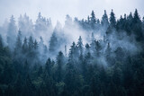 Fototapeta Natura - Misty mountain landscape