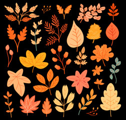 Wall Mural - Colorful autumn leaves over black background, collection of digital illustrations in cartoon style