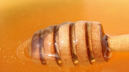 Canvas Print - Honey spoon close-up. Honey slowly drains from the honey spoon.