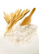 composição com farinha de trigo, espiga de trigo seco e colher de pau em fundo branco - ramo de trigo