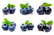 Set of blue berries with leaves isolated on transparent background (Bilberry, Blueberry, Huckleberry)
