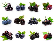 Set Of Blue And Black Berries On Transparent (Acai, Bilberry, Blueberry, Blackberry, Boysenberry, Black Currants, Crowberry, Elderberry, Huckleberry, Marionberry, Mulberry)
