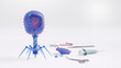 In genetic engineering a genetically modified virus can be used for gene therapy or vaccinations. Here a Bacteriophage with manipulated DNA. 3d conceptual illustration.