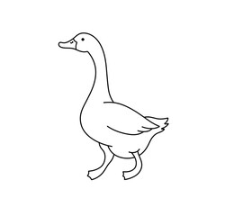Wall Mural - vector isolated one single walking goose side view colorless black and white contour line easy drawi