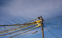 Safety Procedure Yellow And Black Striped Synthetic Tubes That (Tiger Tails) They Are Clipped Together Over Powerlines To Provide A Useful Visual Indication Of Live Overhead Powerlines. Blue Sky