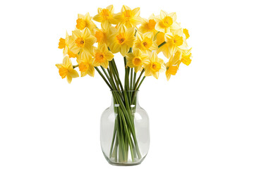 Sticker - Bunch of yellow daffodil blooms presented in a glass container, with a plain transparent background and room for adding your own words.