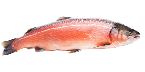 Poster - Fresh raw fish, such as salmon or trout, and a piece of steak are displayed separately on a transparent background. A clipping path is used to isolate the images, providing a clear distinction between