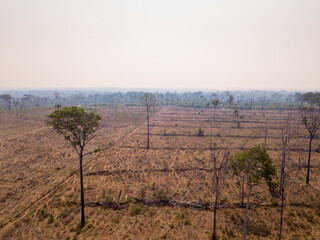 Sticker - Aerial view of illegal deforestation in Amazon rainforest. Forest trees destroyed to open land for cattle and agriculture. Mato Grosso, Brazil. Concept of environment, ecology, climate change, global 