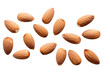 Almonds separated on a transparent background