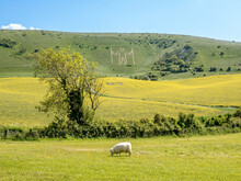 The Long Man Of Wilmington, A Hill Carving On The Sussex Downs, Possibly Neolithic, 15th Century Or Later, Above The Village Of Wilmington, East Sussex, England, Erope