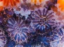 Coral Jade Mineral Texture
