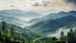© Damerfie - Aerial top view forest tree, Rainforest ecosystem and healthy environment concept and background, Texture of green tree forest view from above.