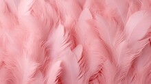 Fluffy Cherry Blossom Pink Feather Fashion Design Background - Happy Valentine Fuzzy Textured Soft Focused Photograph - Fashion Colors