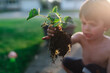 © Maria Manco/Stocksy - Young boy holds plant before planting