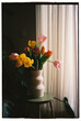 © Laura Arauz/Stocksy - Tulip flowers at home