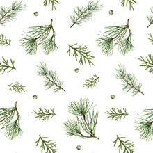 Christmas Seamless Pattern With Pine Spruce Branches On White Background.Traditional Botanical Style Gift Wrap Design.Hand-drawn Watercolor Digital Paper