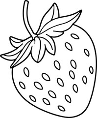 Wall Mural - Strawberry vector illustration. Black and white outline Strawberry coloring book or page for children