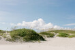 © Kelly Knox/Stocksy - north carolina sand dunes